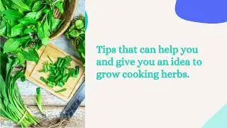Herbs 101 – How To Plant, Grow, And Cook With Natural Herbs