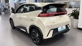 2025 BYD Seagull EV Interior and Exterior in details 4K