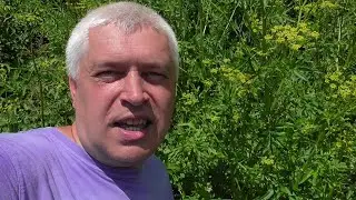 Геннадий Горин рассказывает про растение, видео 09.07.2021 год