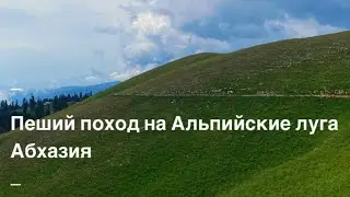 Пеший поход на Альпийские луга.