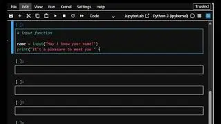SIMPLE INPUT FUNCTION IN PYTHON