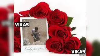 moviemakeronline com 190309 046ca37a e28f 4eab 95e3 17515a3d90ae