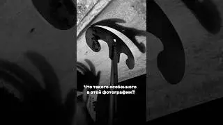 Обучаю фотографии по коротким роликам 