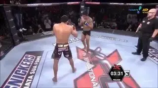 Нокауты в MMA