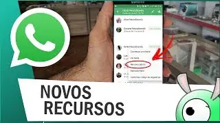 Ativar e fazer download versão BETA do WhatsApp