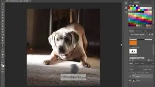 How to Add a Signature to your Photo - Adobe Photoshop CC