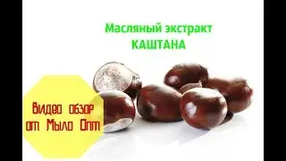Видео обзор Масляный экстракт Каштана от интернет магазина Мыло Опт