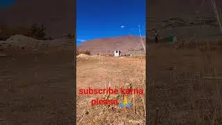 viral new video#cricket🏏🏏🏏 #viral#new  #video #youtube #shot 🔥🔥🔥🔥
