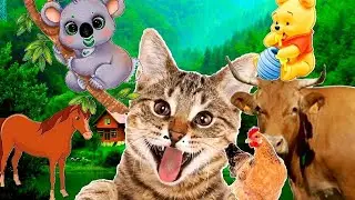 Animal Sounds.Sounds of a cow, wolf, cat, chicken and others.