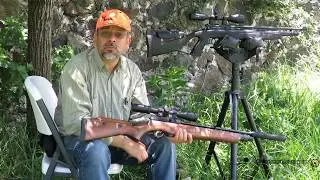 Video Gamo Coyote vs. Cometa Orion