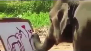مدرسة الرسم الخاصة بالفيلة