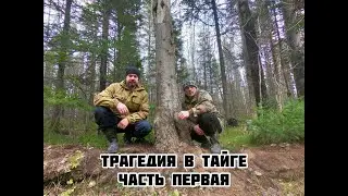 Трагедия в тайге часть 1