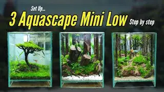 BELAJAR MEMBUAT AQUASCAPE MINI | step by step | aqua one design