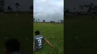 Wingi