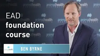 EAD Foundation Course 🎓  Animal Health Australia
