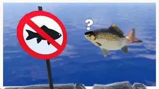 We Found Another AWESOME Fish Game On Steam...