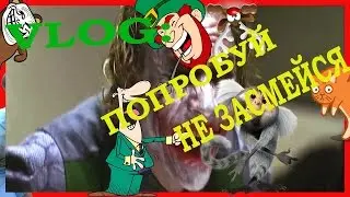 VLOG: ПОПРОБУЙ НЕ ЗАСМЕЙСЯ !!!