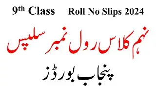 9th Class Roll No Slips 2024 All Punjab Boards | Class 9th Roll No Slips 2024 | 9 Class Roll No Slip