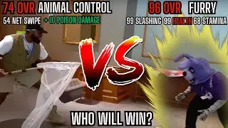 Animal Control Vs Furry Con REACTION