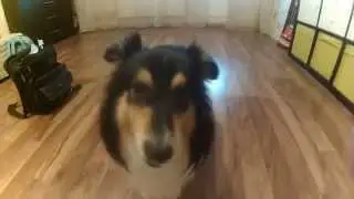20140407 1945290