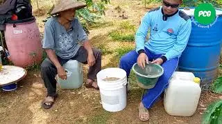 CARA BIKIN PUPUK SUPAYA TANAMAN CEPAT BESAR