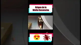 La Waifu Cucaracha 😮 /Waifus Raras 1 