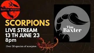 Live Tim Baxter and his all new scorpion shed