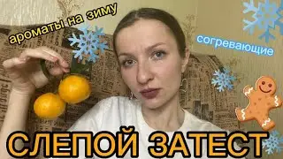 СЛЕПОЙ ЗАТЕСТ ЗИМНИХ АРОМАТОВ🎄❄️искрящиеся и согревающие
