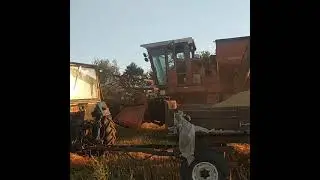 Дон 1500а уборка КФХ Подольский Ю. В.