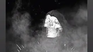 night lovell - please don't go (35hz,25hz rebassed)