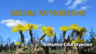 Весны мгновение  Татьяна Свистунова