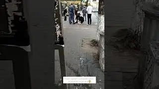 Около одного из баров Пензы задержали мужчину😱Что произошло - неизвестно🤔
