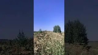 Развертка перед открытием охоты на утку