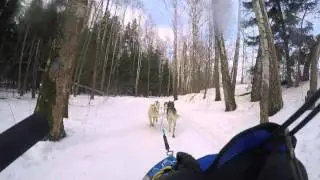 Юниорская гонка 2016 - Самарина Ольга C класс