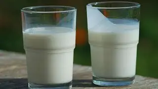 ПОЛЬЗА и ВРЕД кефира и диет на его основе. Как похудеть на кефире. Правильная диета.