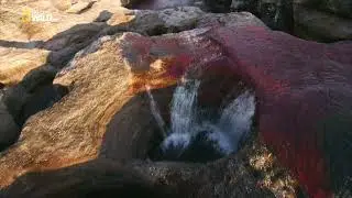 Какая река, по мнению многих людей, является «самой прекрасной рекой в мире» ?