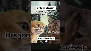 Shop Keeper in Skyrim 