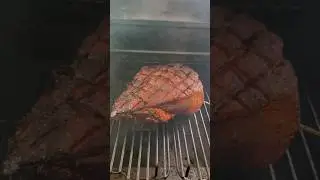 Traeger Day 2024!!