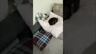 Похолодало 