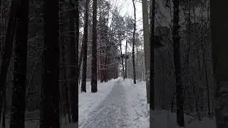 снежок выпал
