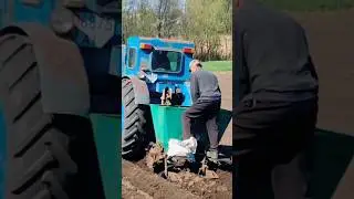 Українське Ukraine