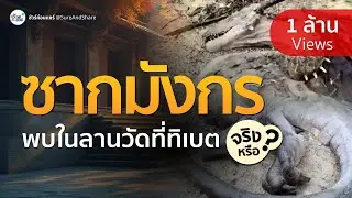 ชัวร์ก่อนแชร์ : ซากมังกรทิเบต จริงหรือ? | สำนักข่าวไทย อสมท