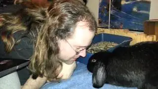 Bunny Kisses