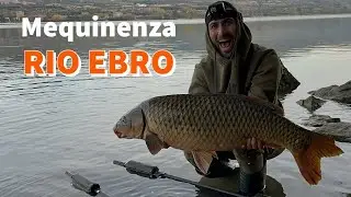Rio Ebro / Mequinenza Carp Fishing Ebro River