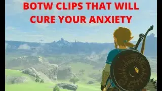 botw clips that will cure your anxiety