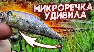 ЩУКИ НА МИКРОРЕЧКЕ воды по колено рыбалка на спиннинг
