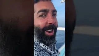 I Used AI to Chase Dolphins in the Bali Sea