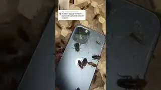 Разбил телефон во время съёмок😭