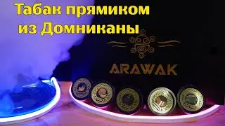 #29 Arawak v2 | Что нового?