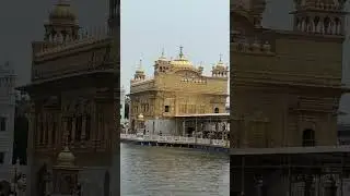golden temple amritsar #shorts